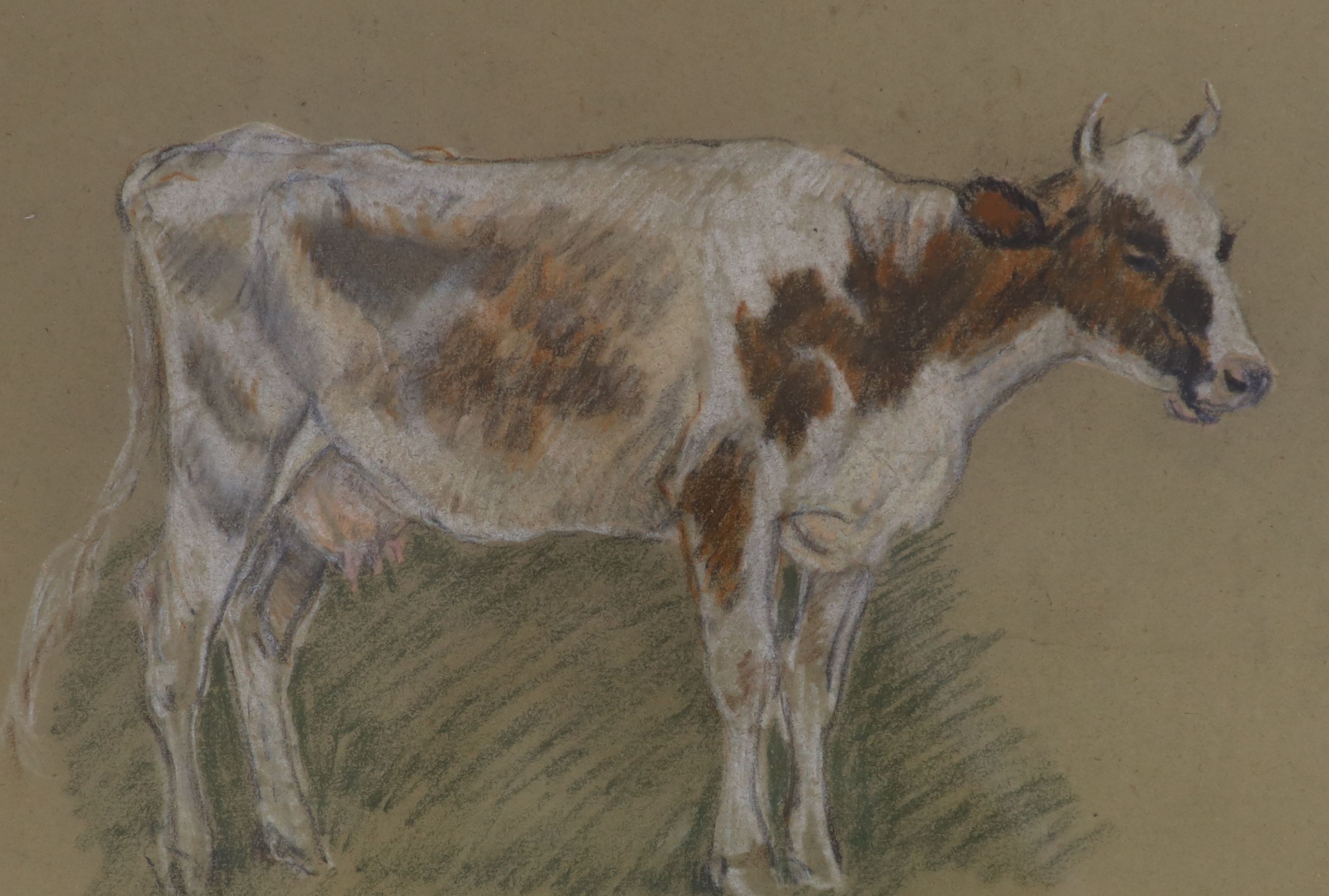 Margaret Fisher Prout (1875-1963), two pastel drawings, Studies of cows, Abbott & Holder labels verso, 23 x 33cm